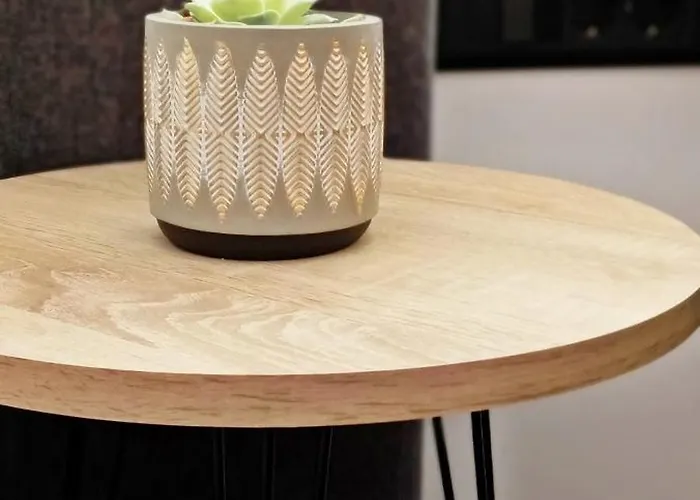 Domus Vivendi 酒店 *